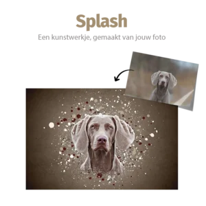 Splash huisdier portret Pets and Pictures