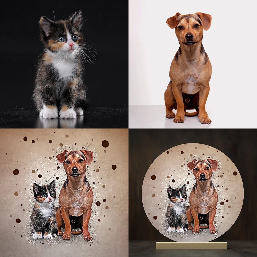 Splash dierenportret - Voor en na - foto's en kunstwerk