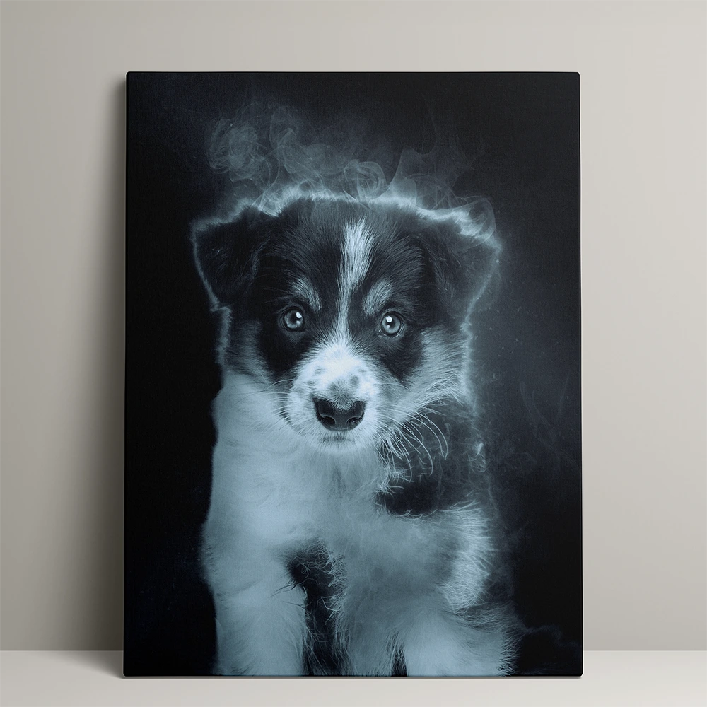 Mystic dierenportret. Pets and Pictures: een kunstwerk, gemaakt van jouw foto.