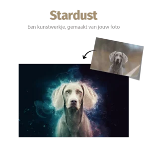 Stardust huisdier portret Pets and Pictures