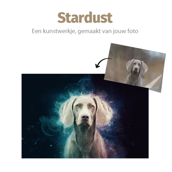 Stardust huisdier portret Pets and Pictures