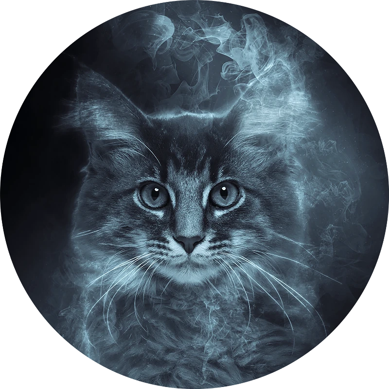 Mystic rond - kat - poes- dierenportret - rook- smoke