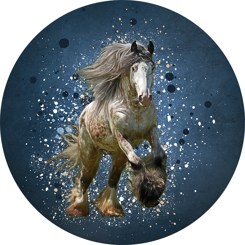 Portfolio-Splash13-tinker-irish-cob-hengst