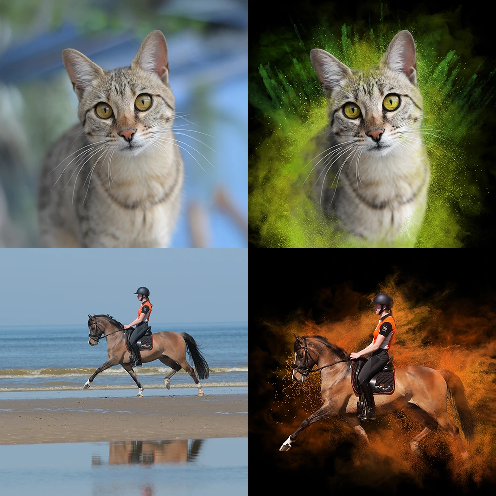 Kleurrijk kunstwerk van kat, paard, hond of ander huisdier. Met zwarte achtergrond en holipoeder. Gemaakt van een gewone foto.