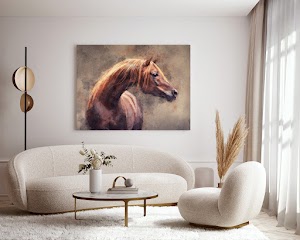 Pets and Pictures plaats foto