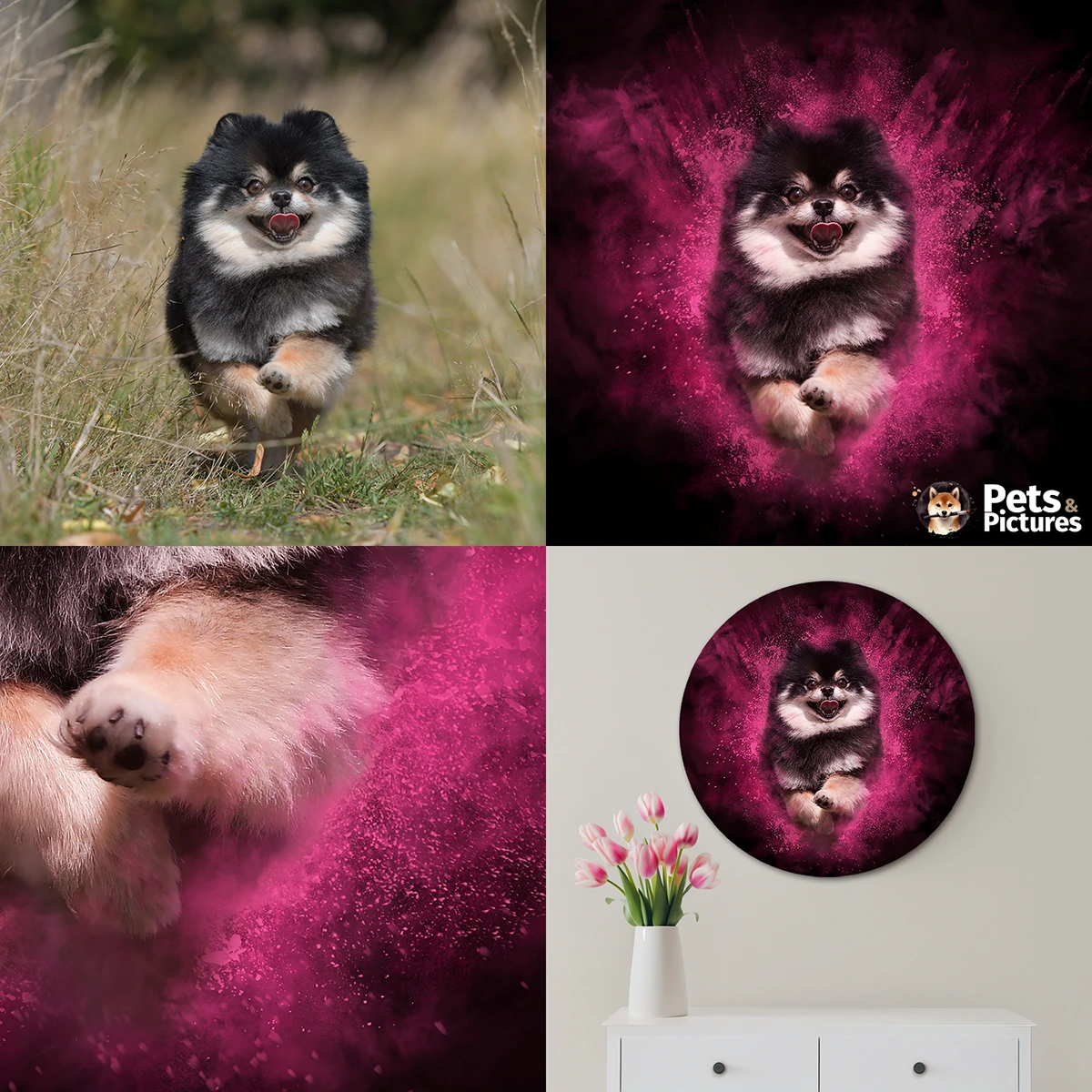 Wat is een powder portret? Een persoonlijk kunstwerk van je huisdier, met een zwarte achtergrond en een wolk van holipoeder.