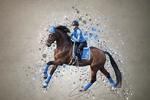 splash dierenportret ruiter amazone dressuur herinnering kunstwerk