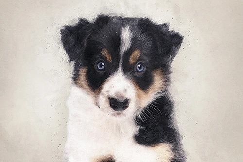 Watercolor huisdierenportret - herinnering aan je hond of ander dier. Aquarel kunstwerk.