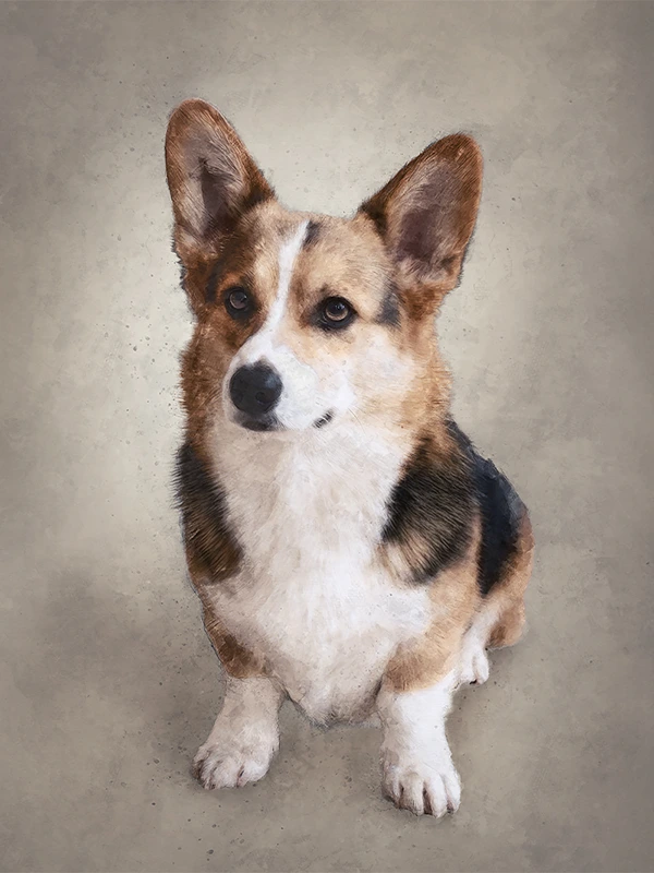 Huisdier portret - Watercolor