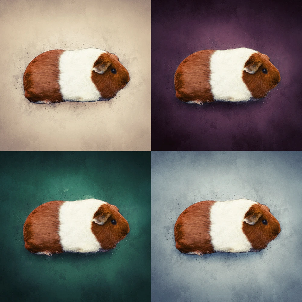 Achtergrond kleuren voor het watercolor huisdierportret.