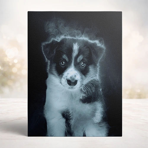 Mystic dierenportret op canvas of dibond - Pets & Pictures