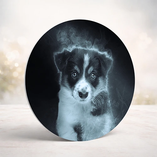 Mystic dierenportret op muurcirkel - Pets & Pictures