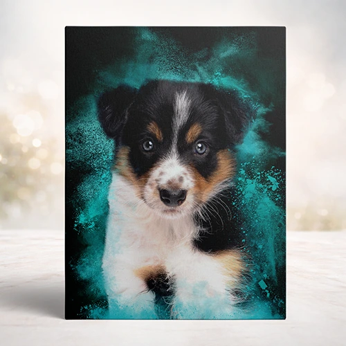 Powder dierenportret op canvas of dibond - Pets & Pictures
