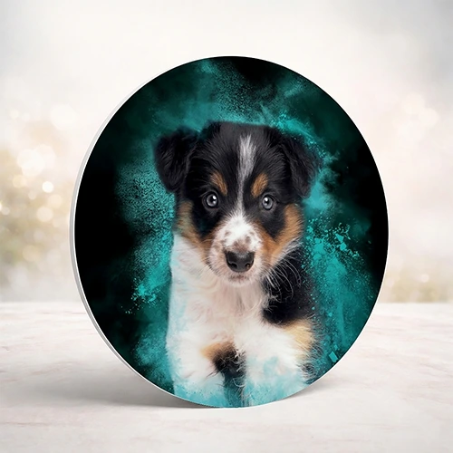 Powder dierenportret op muurcirkel - Pets & Pictures