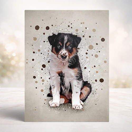 Splash dierenportret op canvas of dibond - Pets & Pictures