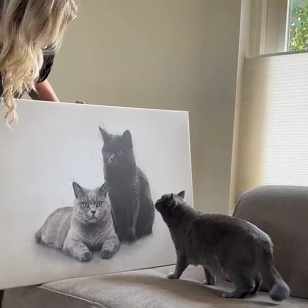 Review Faye W. over haar kattenportret door Pets & Pictures: Heel erg blij met het mooie portret, goed begeleid in het proces en precies zoals ik wilde