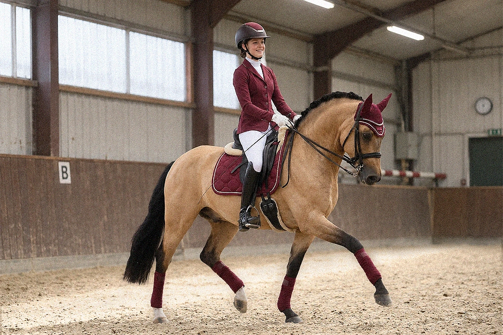 Dressuurfoto van amazone met haar paard in een rijbak